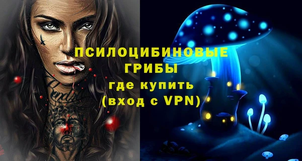 стафф Верея