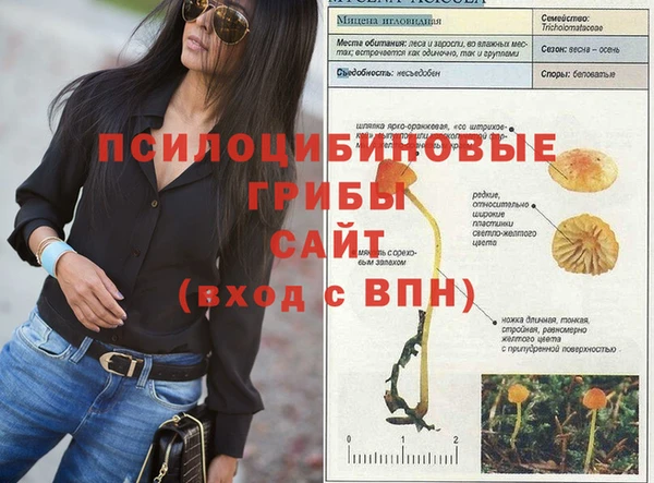 ALPHA-PVP Верхний Тагил