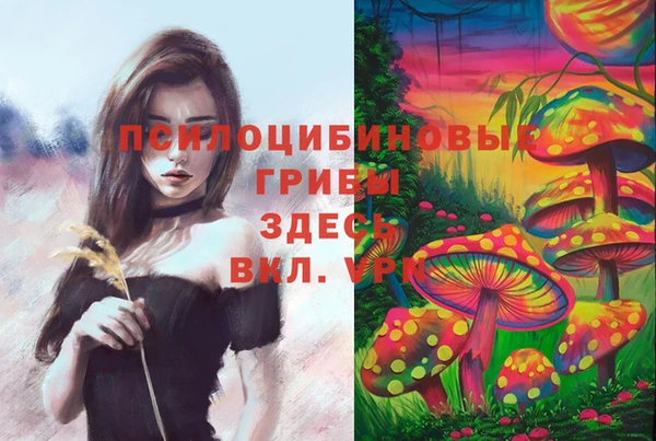 стафф Верея