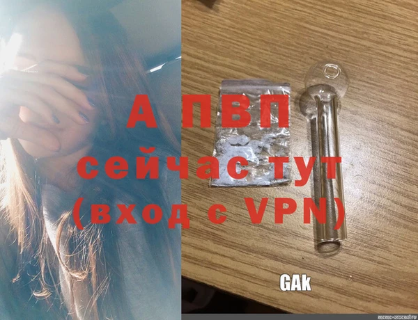 стафф Верея